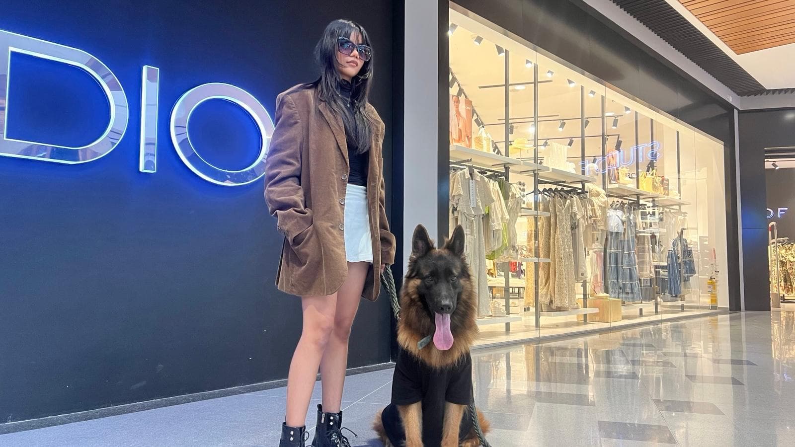 Máximo de Pastor Alemán