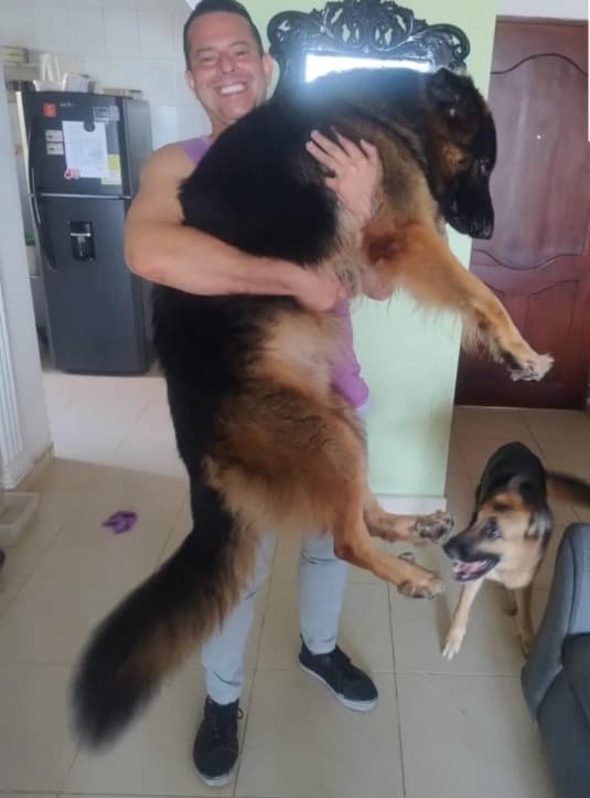 Enzo (Padre de Channel)